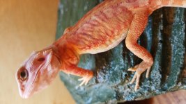 20160229_095331.jpg