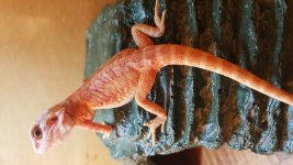 20160229_095326.jpg