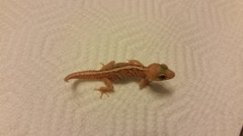 20150928_160801.jpg