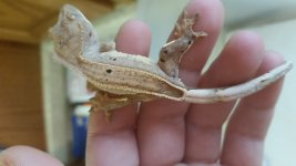 20160327_105455.jpg