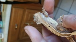 20160327_154744.jpg