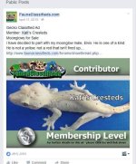 FB_IMG_1461684259479.jpg