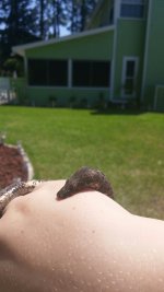 Pepper (8).jpg