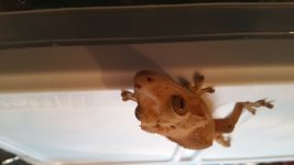 20160425_182531.jpg