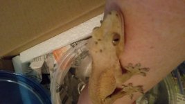 20160421_112545.jpg