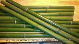 bamboo_order1.jpg