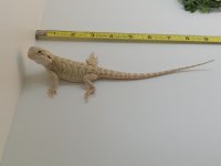 20160426_133734.jpg