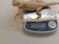 20160426_134053.jpg
