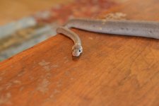 DSC_8201.jpg