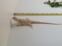 20160426_135519.jpg