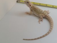 20160426_135544.jpg