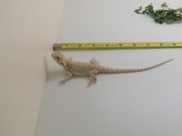 20160426_142438.jpg