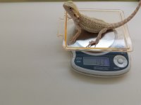 20160426_142641.jpg