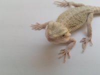20160426_142604.jpg