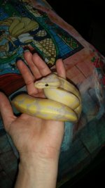 20151219_105155.jpg
