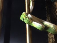 IMG_3510.jpg
