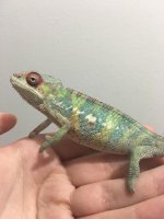 4MonthMale15(2).jpg
