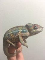 4MonthMale5(2).jpg
