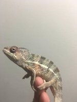 4MonthMale7(2).jpg