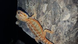 20160128_105129.jpg