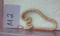 20160524_185835.jpg
