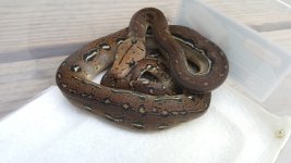 20160428_080229.jpg