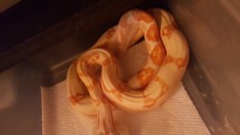 20160410_183124.jpg