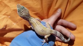 20160407_100503.jpg
