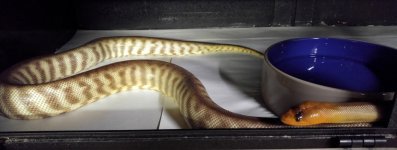 20160513_203124.jpg