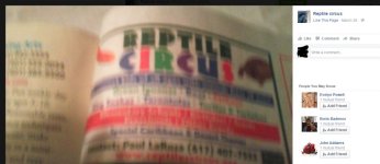 reptile circus ad.jpg