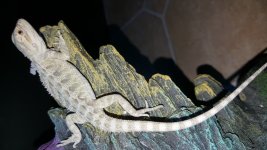 20160602_200524.jpg