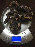 weight.jpg