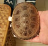 20160510_192817-1-1.jpg