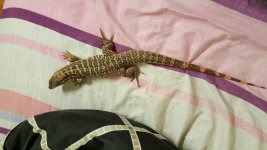 20160413_215429.jpg