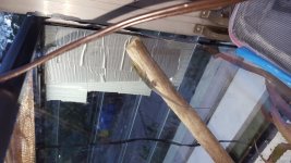 20160108_172805.jpg