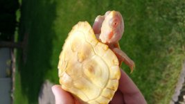 20160621_140354.jpg