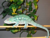 IMG_1415.jpg