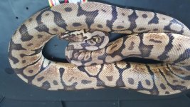 20160330_164957.jpg
