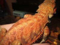 IMG_1492.jpg