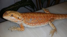 2178497_orig.jpg