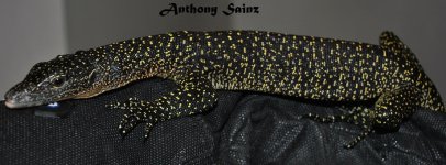 DSC_0389_zps4vjghjdd.jpg