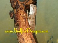 20160620_144804.jpg