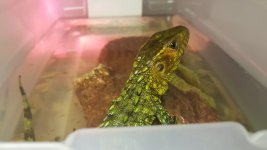 20160330_194059.jpg
