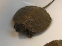 DSCF1592.jpg