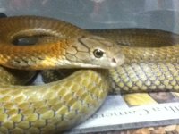 007 (2).JPG