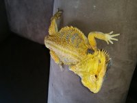 20160601_124757.jpg