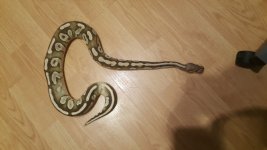 20160117_010540.jpg