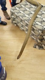 20160126_160455.jpg