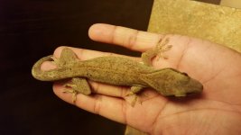 20160330_232641.jpg
