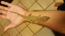 20160330_232713.jpg